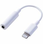 iPhone Aux Cable